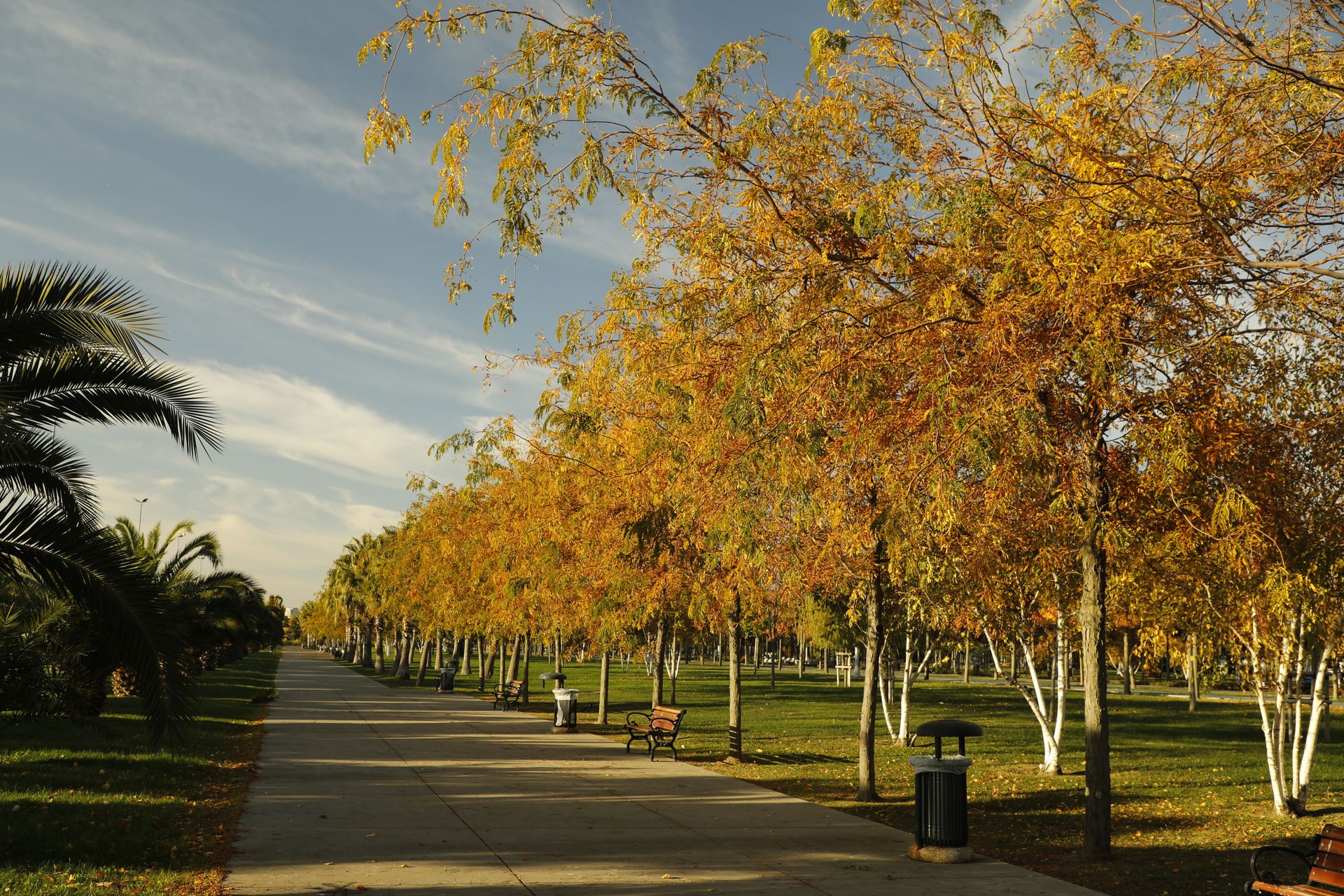 Parque arbolado en otoño